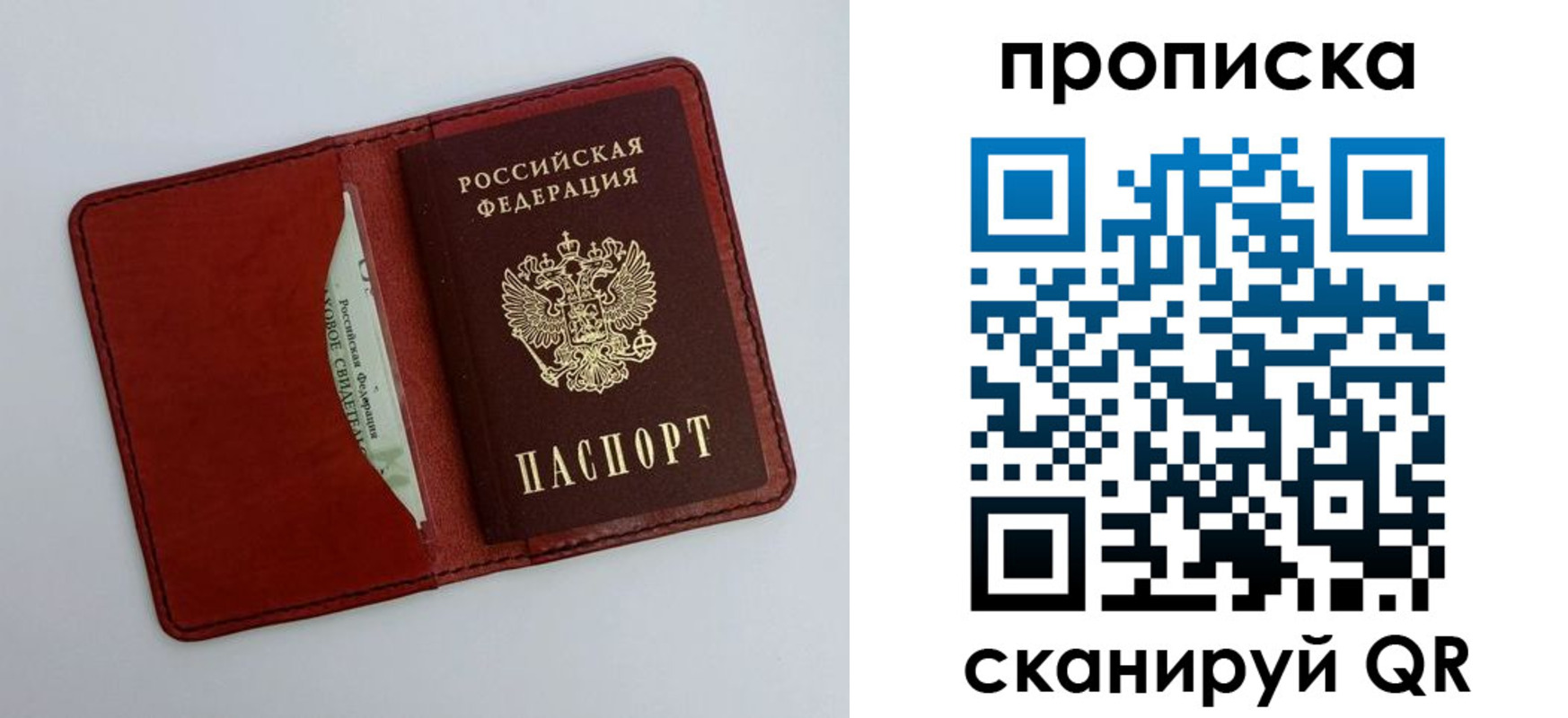 прописка ребенка в Мончегорске
